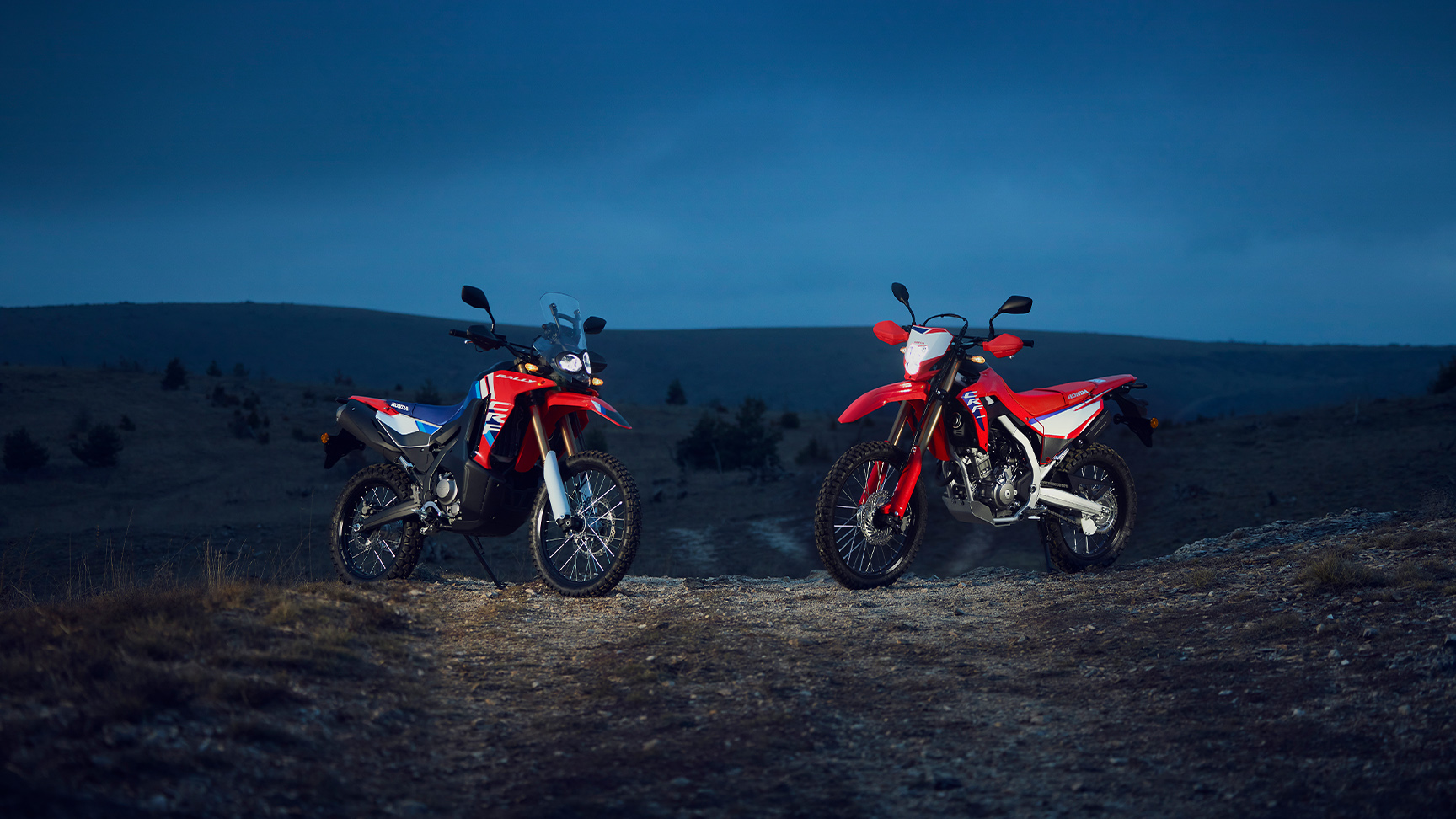 CRF300L and CRF300 Rally