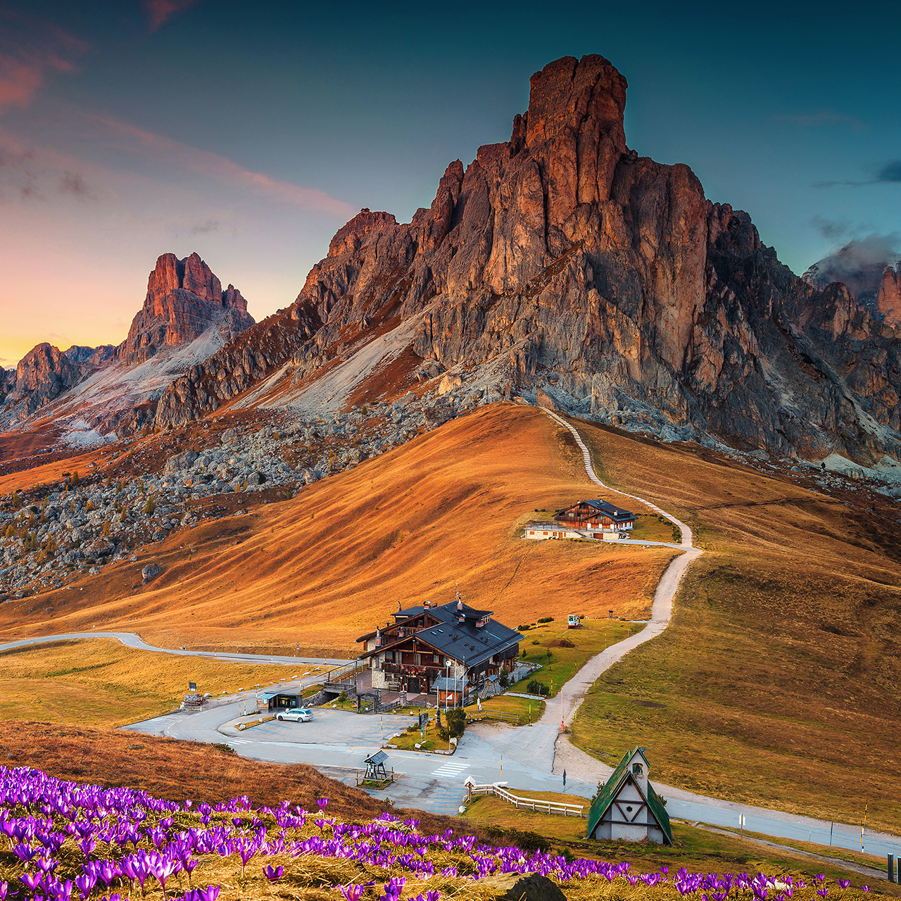 Nádherná horská krajina s jarnými kvetmi krókusov na kopci a nádhernými horami pri západe slnka, priesmyk Giau, Dolomity, Taliansko, Európa