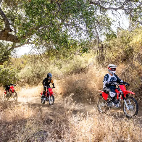CRF125F